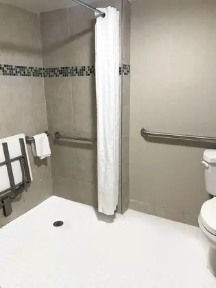 Stüdyo Süit, 1 En Büyük (King) Boy Yatak, Engellilere Uygun (Mobility/Hearing Accessible)