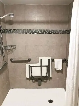 Stüdyo Süit, 1 En Büyük (King) Boy Yatak, Engellilere Uygun (Mobility/Hearing Accessible)