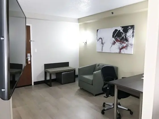 Stüdyo Süit, 1 En Büyük (King) Boy Yatak, Engellilere Uygun, Sigara İçilmez (Mobility Accessible)