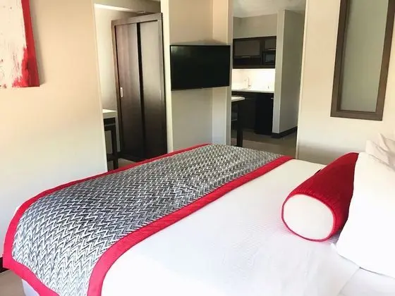 Stüdyo Süit, 2 Çift Kişilik Yatak, Sigara İçilmez