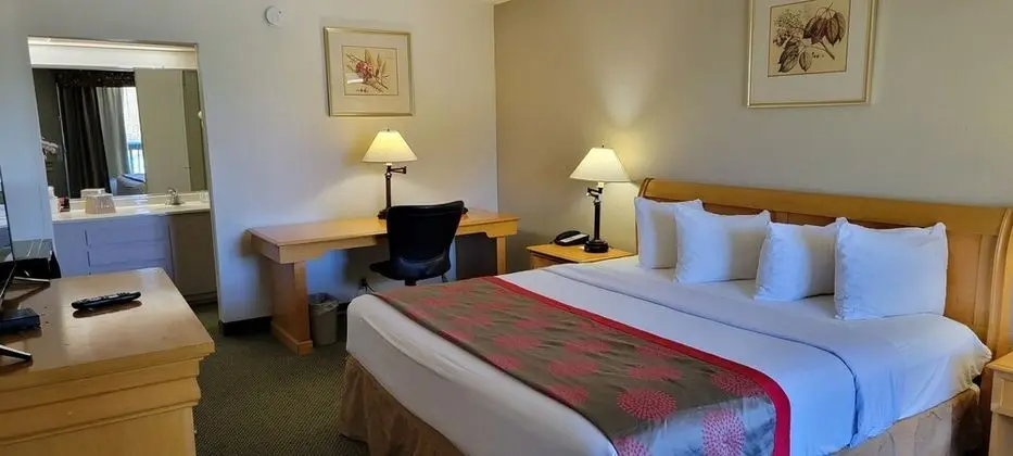 Deluxe Oda, 1 En Büyük (King) Boy Yatak, Sigara İçilmez (Newly Renovated)
