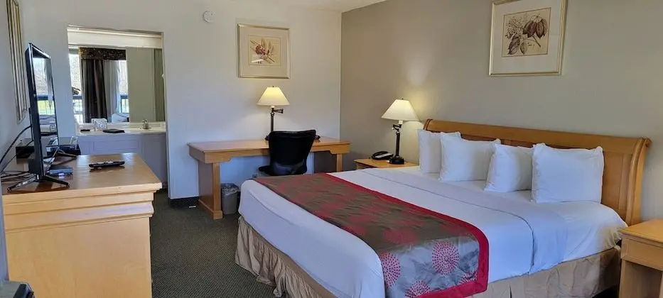 Deluxe Oda, 1 En Büyük (King) Boy Yatak, Sigara İçilmez (Newly Renovated)