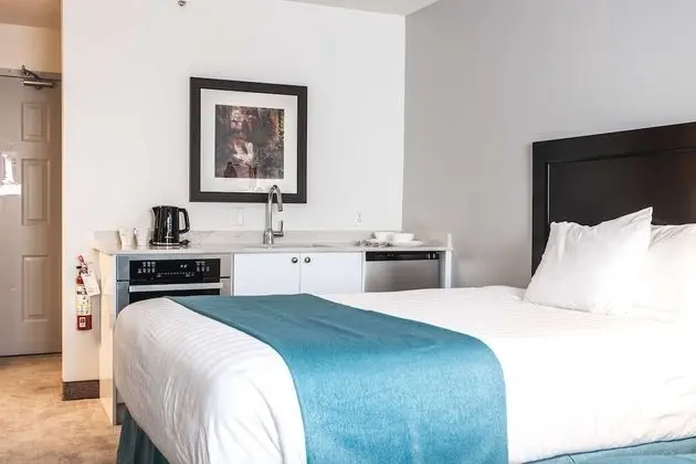Oda, 1 En Büyük (King) Boy Yatak, Sigara İçilmez (Pet Friendly)