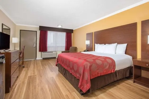 Oda, 1 En Büyük (King) Boy Yatak, Sigara İçilmez, Şehir Manzaralı