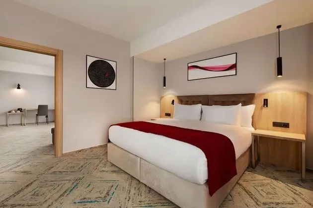 Executive Süit, 1 En Büyük (King) Boy Yatak, Sigara İçilmez