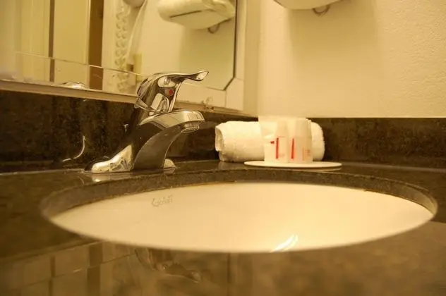 Oda, 1 Büyük (Queen) Boy Yatak, Engellilere Uygun, Sigara İçilmez (Roll-In Shower)