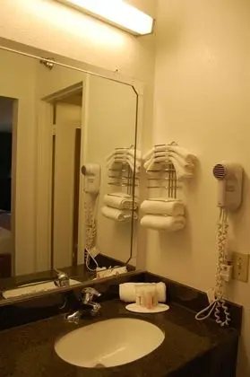 Oda, 1 Büyük (Queen) Boy Yatak, Engellilere Uygun, Sigara İçilmez (Roll-In Shower)