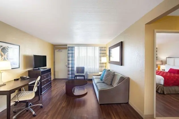 Süit, 1 En Büyük (King) Boy Yatak, Sigara İçilmez (One-Bedroom)