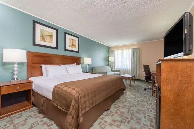 Süit, 1 En Büyük (King) Boy Yatak, Sigara İçilmez (One-Bedroom)