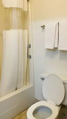 Deluxe Oda, 2 Çift Kişilik Yatak, Sigara İçilmez