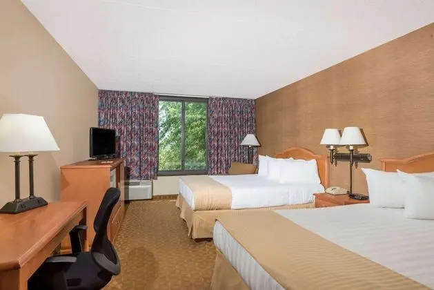 Oda, 2 Büyük (Queen) Boy Yatak, Sigara İçilmez (Pet-Friendly)