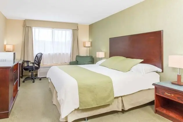 Süit, 1 En Büyük (King) Boy Yatak, Sigara İçilmez (Pet Friendly Suite)