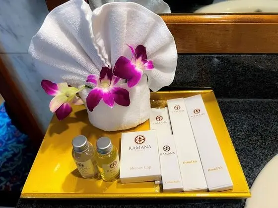 Executive Süit, Şehir Manzaralı