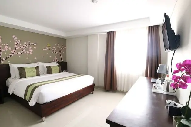 Deluxe Tek Büyük veya İki Ayrı Yataklı Oda