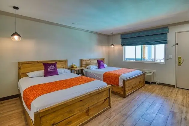 Executive Oda, 2 Büyük (Queen) Boy Yatak, Sigara İçilmez, Havuz Manzaralı