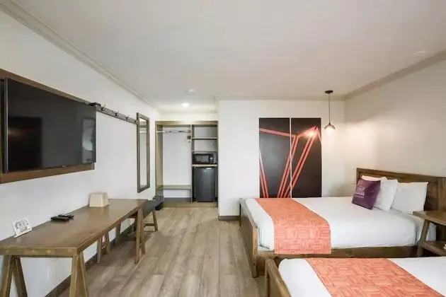 Executive Oda, 2 Büyük (Queen) Boy Yatak, Sigara İçilmez, Havuz Manzaralı