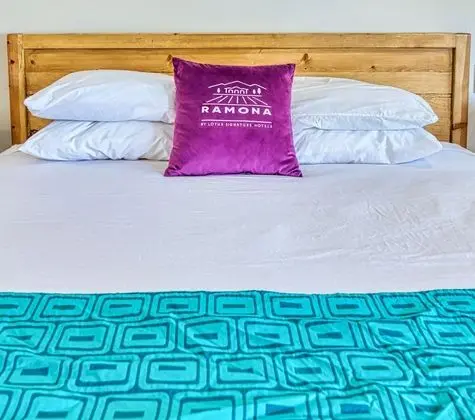 Standard Oda, 1 En Büyük (King) Boy Yatak, Sigara İçilmez