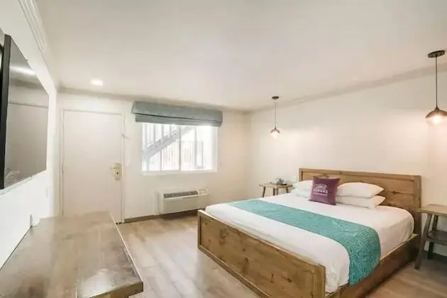 Standard Oda, 1 En Büyük (King) Boy Yatak, Sigara İçilmez