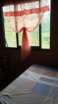 Oda (Regular, for 2)