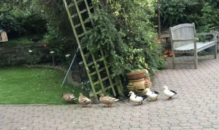 İki Ayrı Yataklı Oda, Banyolu/Duşlu