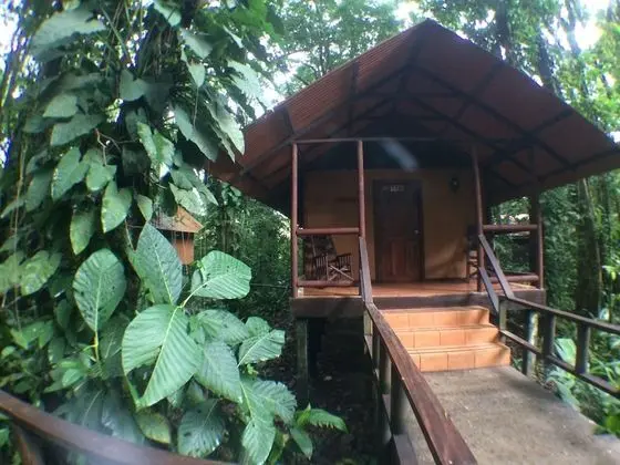 Kulübe, Balkon, Bahçe Manzaralı