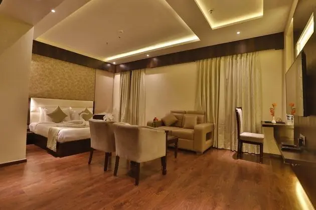 Deluxe Oda, 1 Yatak Odası, Engellilere Uygun, Şehir Manzaralı