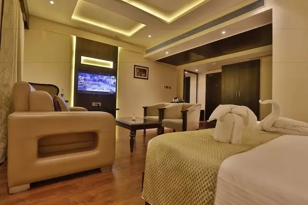 Deluxe Oda, 1 Yatak Odası, Engellilere Uygun, Şehir Manzaralı