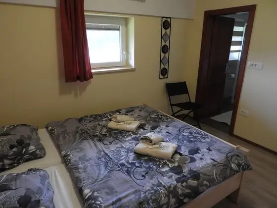 Comfort Tek Büyük veya İki Ayrı Yataklı Oda (+ extra bed)