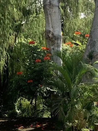 Tek Büyük Yataklı Oda, Engellilere Uygun