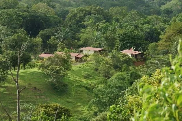 Standard Kır Evi