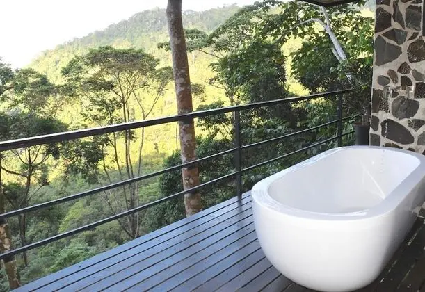 Luxury Ağaç Ev, 1 En Büyük (King) Boy Yatak, Balkon, Okyanus Manzaralı