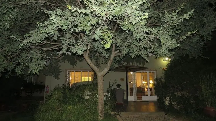 Standard Kır Evi (Wild Olive)