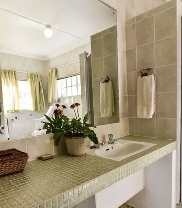 Standard Kır Evi (Wild Olive)