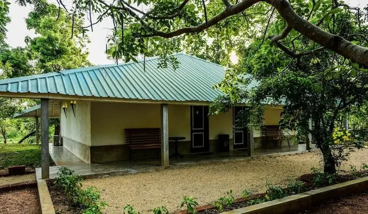 Dağ Evi