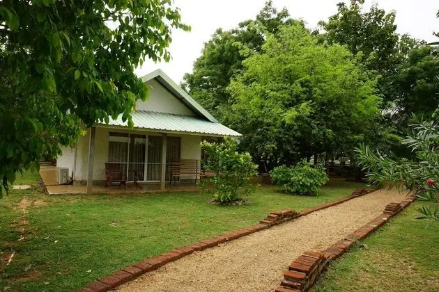 Dağ Evi