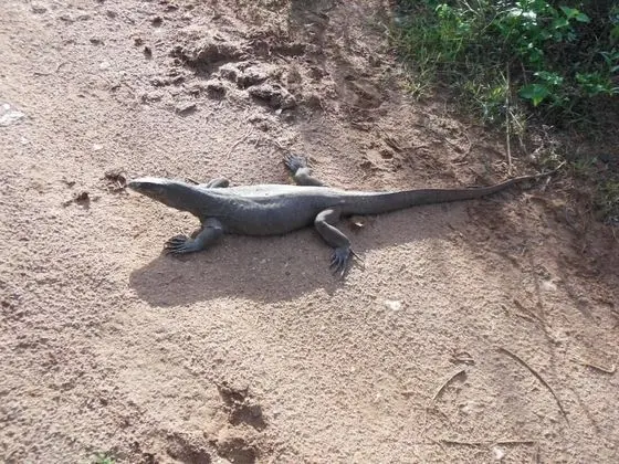Ortak Ranzalı Oda, 1 Yatak Odası