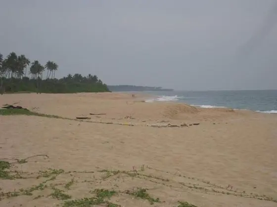 Ortak Ranzalı Oda, 1 Yatak Odası