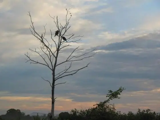 Ortak Ranzalı Oda, 1 Yatak Odası