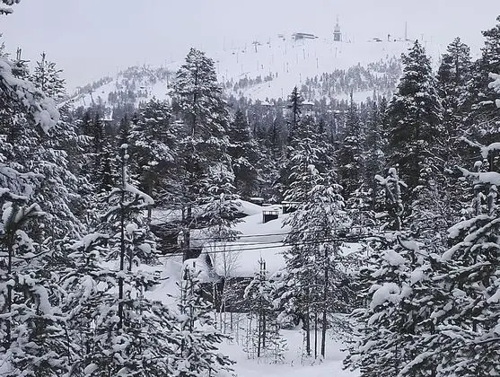 Apart Daire, Sauna (B6)