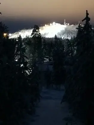 Apart Daire, Sauna (B6)