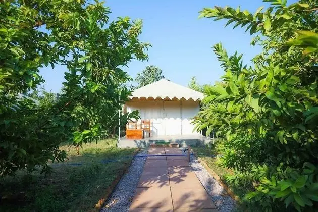 Deluxe Tent