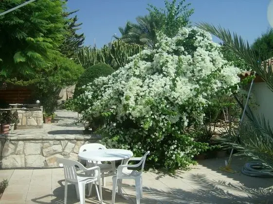 Apart Daire, 2 Yatak Odası, Teras