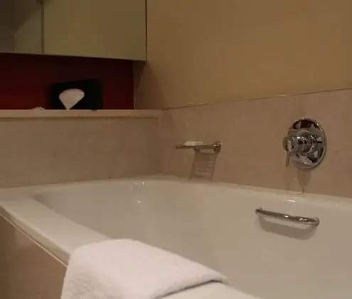 Exclusive Tek Kişilik Oda, 1 En Büyük (King) Boy Yatak ve Çekyat, Şehir Manzaralı