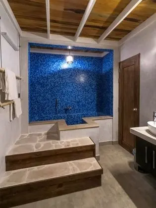 Deluxe Tek Büyük Yataklı Oda, Engellilere Uygun, Sigara İçilmez