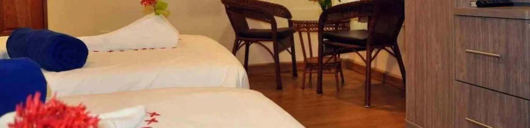Deluxe Tek Büyük veya İki Ayrı Yataklı Oda, 1 Yatak Odası, Sigara İçilmez, Bahçe Manzaralı