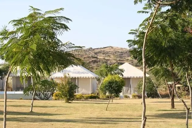 Luxury Çadır, 1 Çift Kişilik Yatak