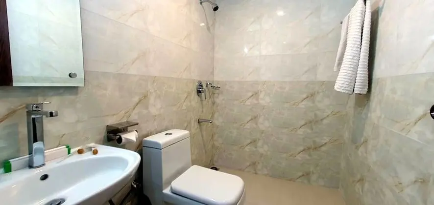 Deluxe Tek Büyük veya İki Ayrı Yataklı Oda