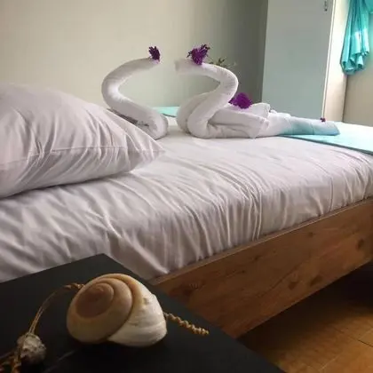 Standart Oda, Bahçe Manzaralı, Balkonsuz