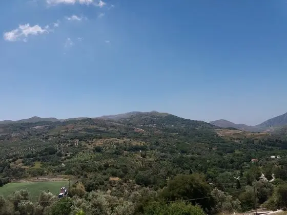 Stüdyo