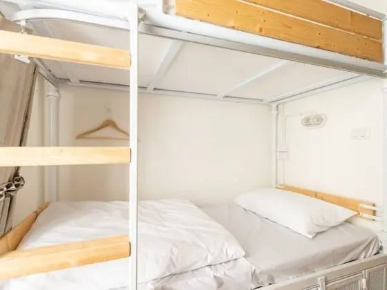 Single Bed Mixed Dormitory